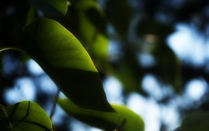 Elasticsearch最佳技术栈推荐